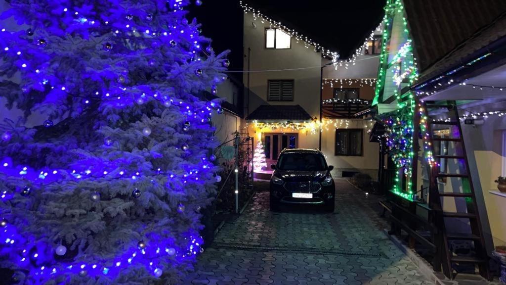 Casa Nicoladis Apartman Zărneşti Kültér fotó